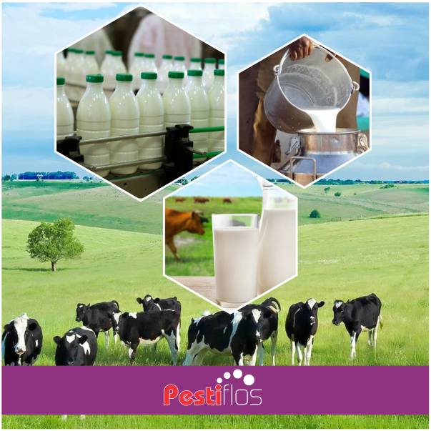 Pestiflos Milk