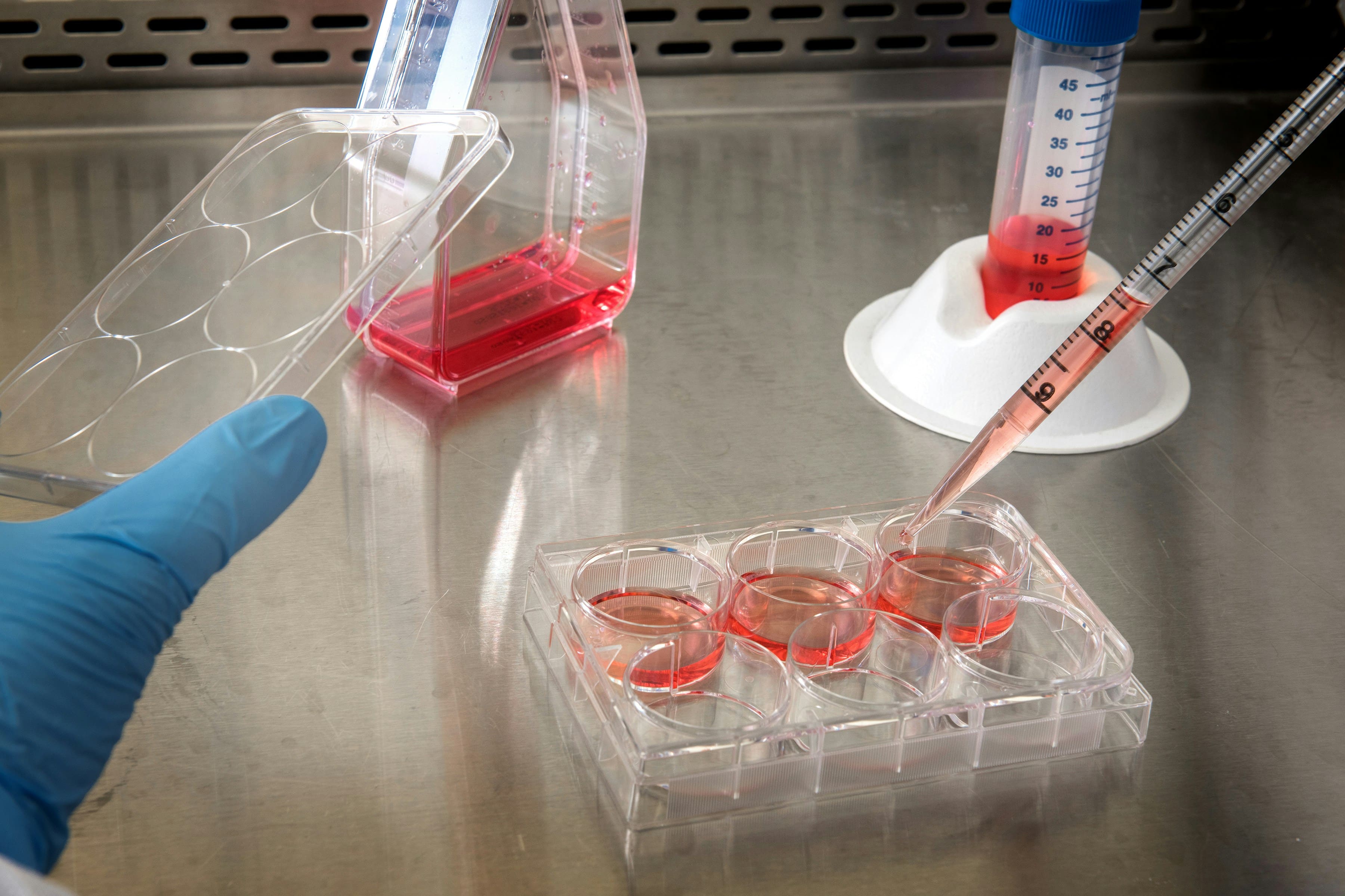 Test Kits